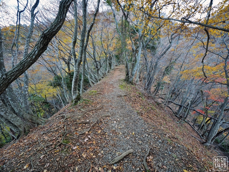 f:id:cippillo:20200108000043j:plain