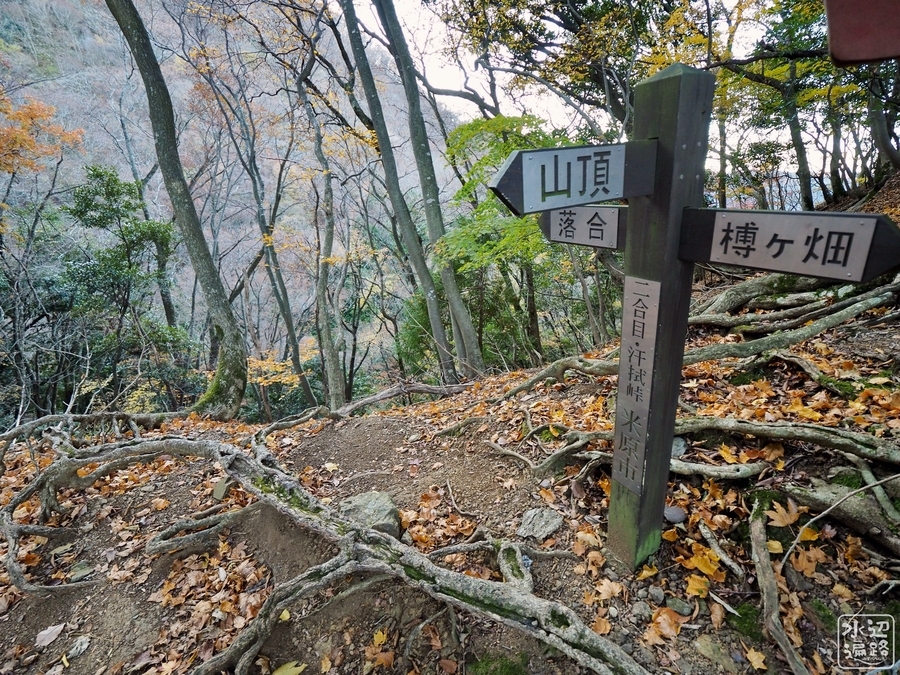 f:id:cippillo:20200108000209j:plain