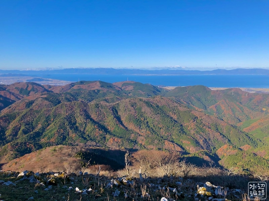 f:id:cippillo:20200108095836j:plain