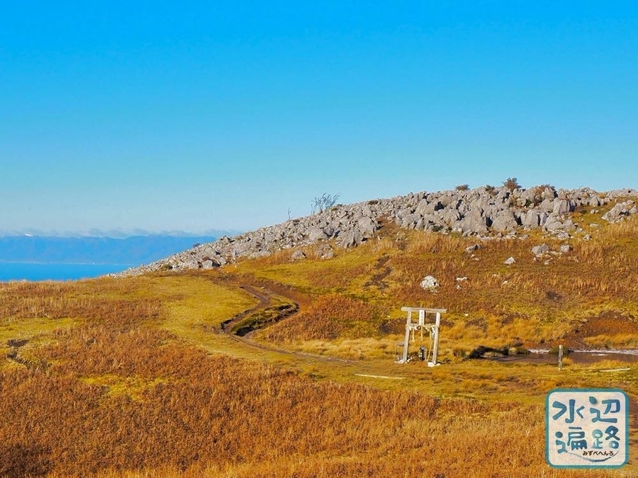 f:id:cippillo:20200108103417j:plain