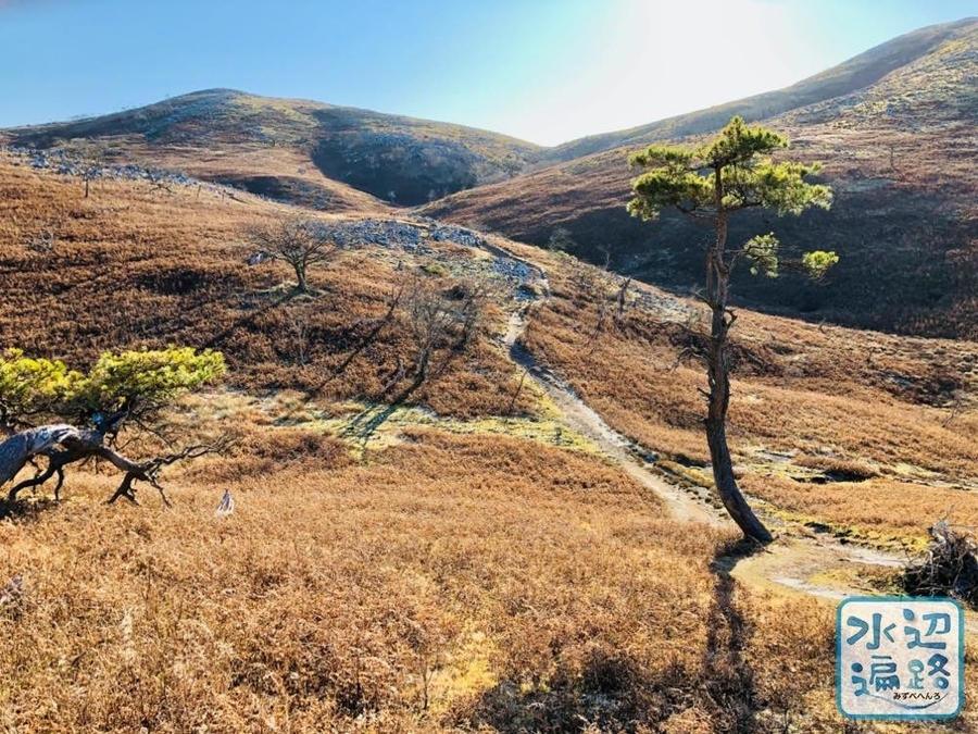 f:id:cippillo:20200108103524j:plain