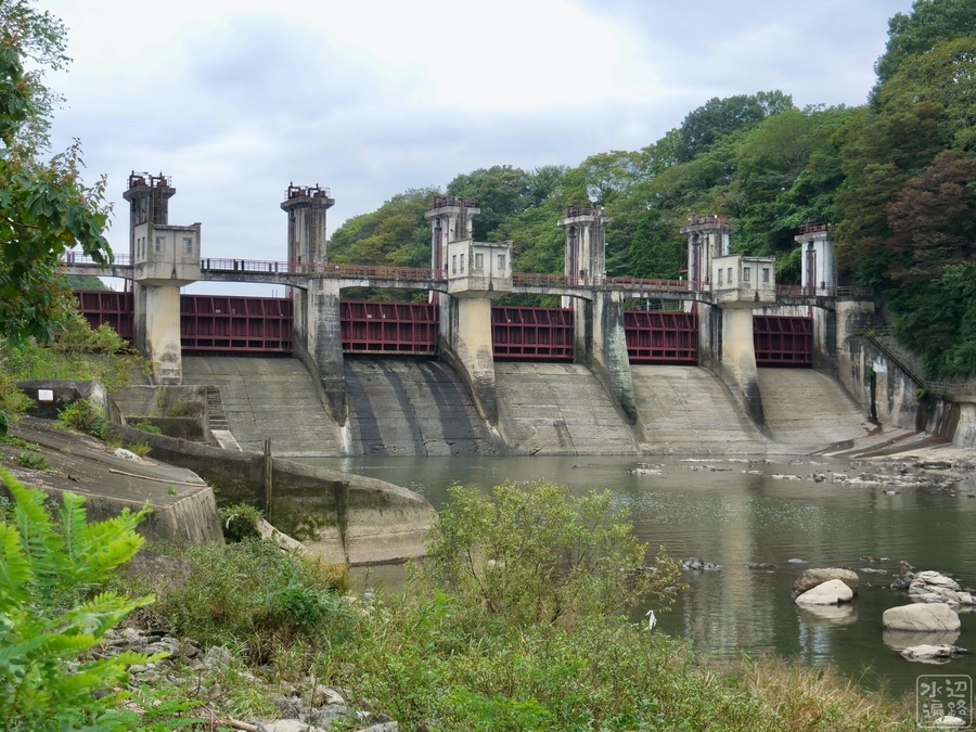 f:id:cippillo:20200115194416j:plain