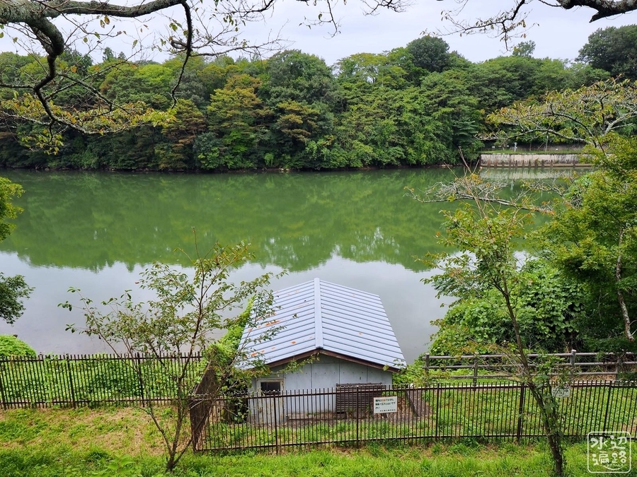 f:id:cippillo:20200115194445j:plain