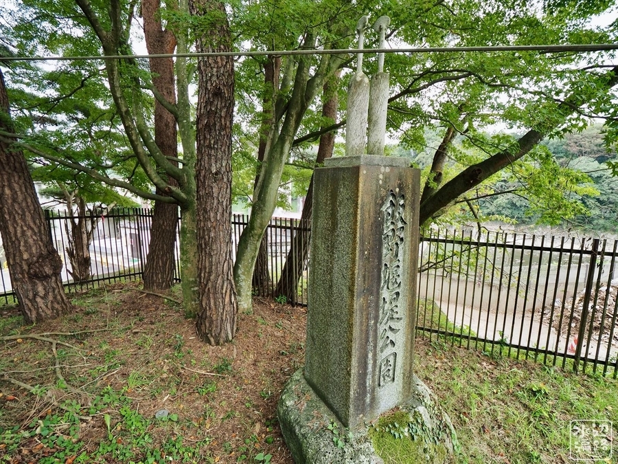 f:id:cippillo:20200115194458j:plain