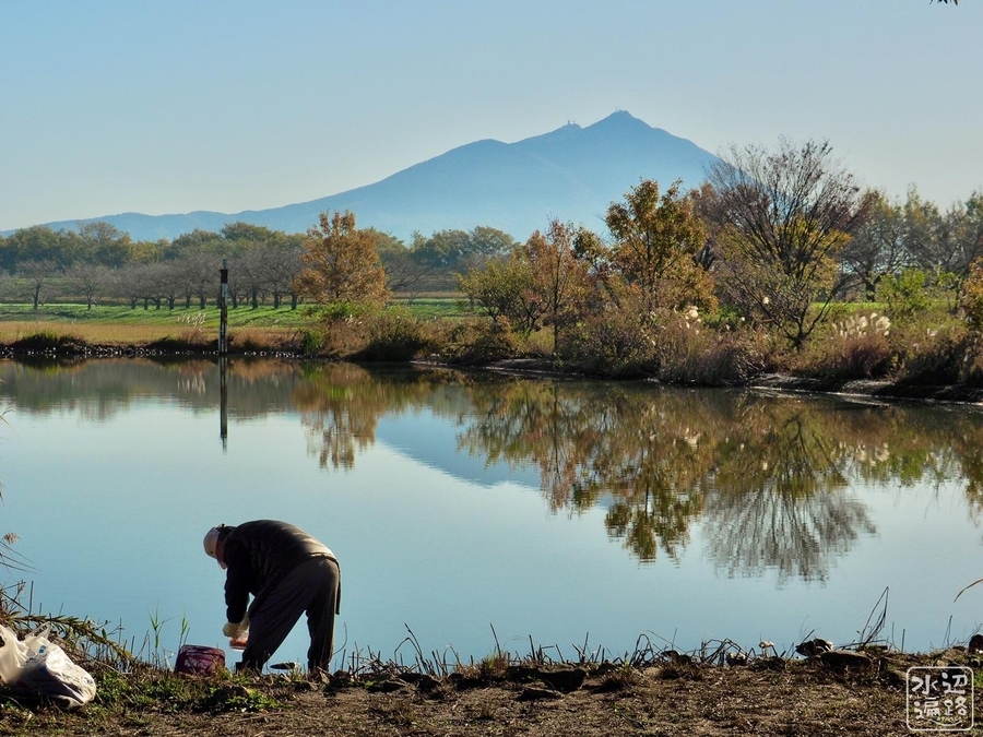 f:id:cippillo:20200129143122j:plain