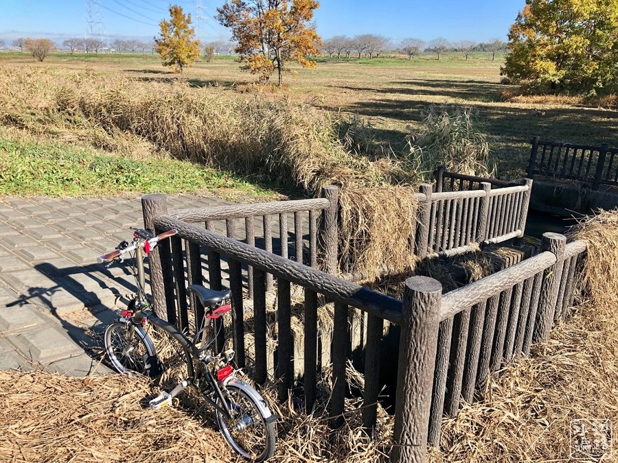 f:id:cippillo:20200129143142j:plain