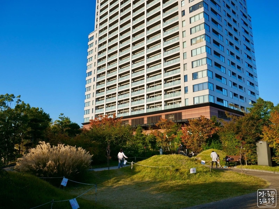 f:id:cippillo:20200211113527j:plain