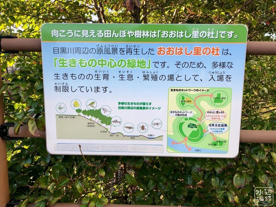 f:id:cippillo:20200211113630j:plain