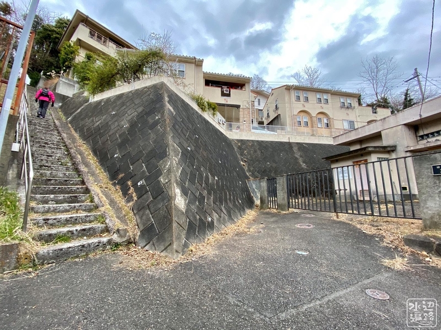 f:id:cippillo:20200211211426j:plain f:id:cippillo:20200211211426j:plain
