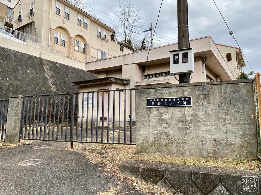 f:id:cippillo:20200211211448j:plain f:id:cippillo:20200211211448j:plain
