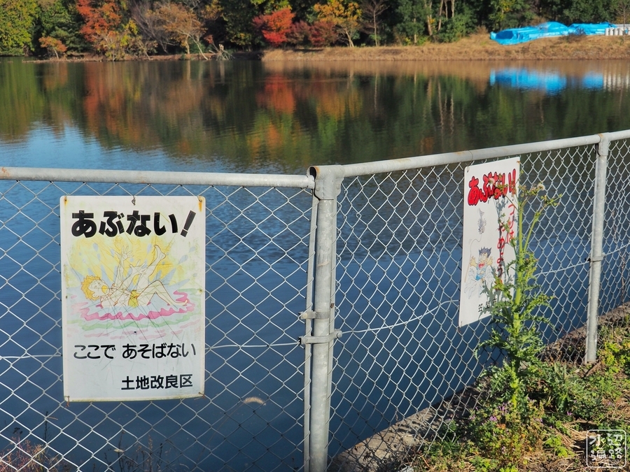 f:id:cippillo:20200213221050j:plain f:id:cippillo:20200213221050j:plain