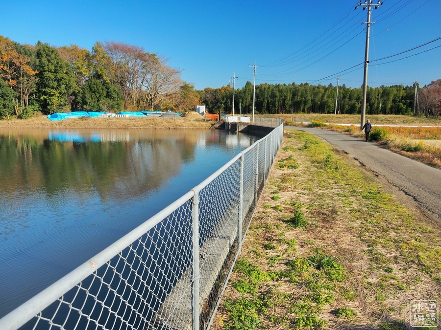 f:id:cippillo:20200213221103j:plain f:id:cippillo:20200213221103j:plain