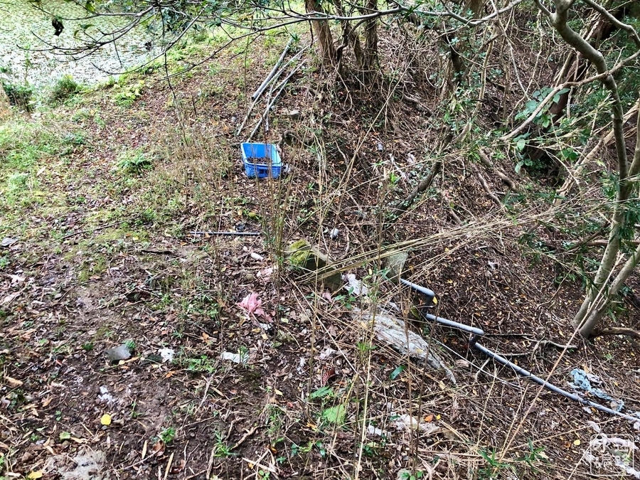 f:id:cippillo:20200214100701j:plain