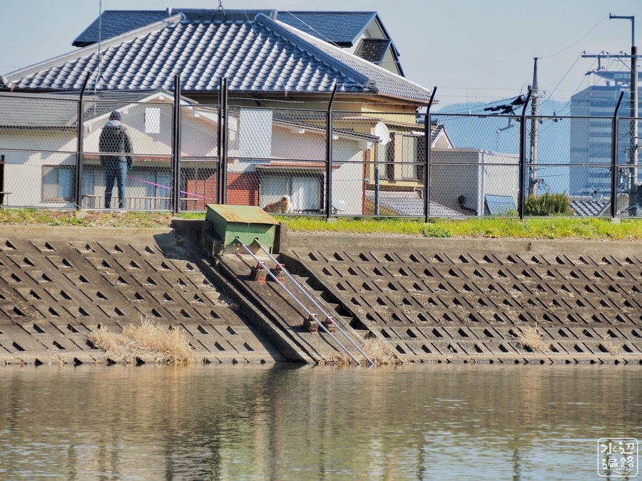 f:id:cippillo:20200216193630j:plain