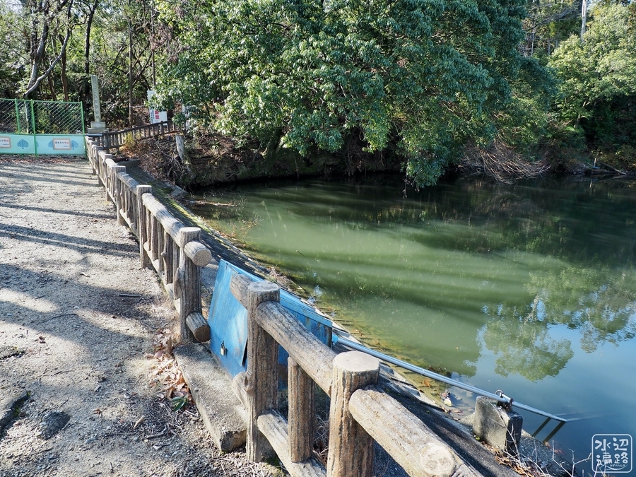 f:id:cippillo:20200216193701j:plain