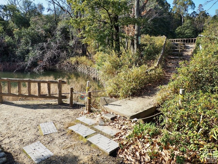 f:id:cippillo:20200216193727j:plain