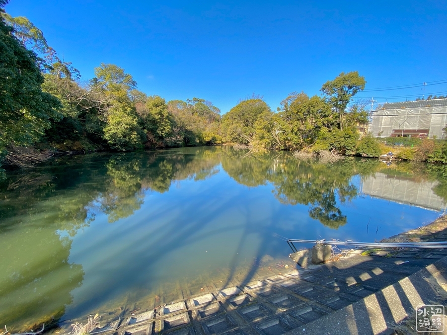 f:id:cippillo:20200216193909j:plain