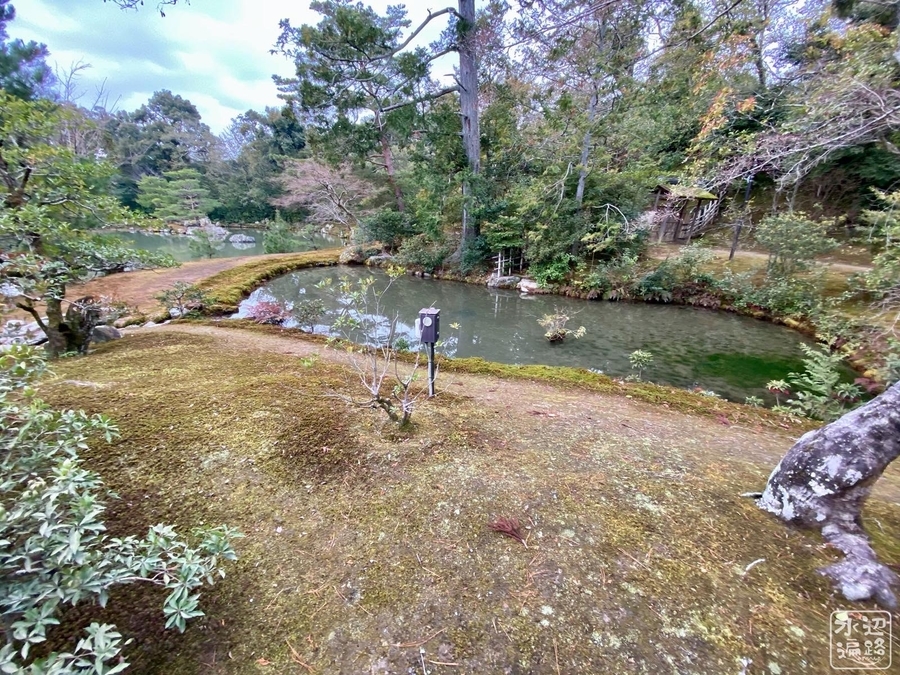 f:id:cippillo:20200219124446j:plain