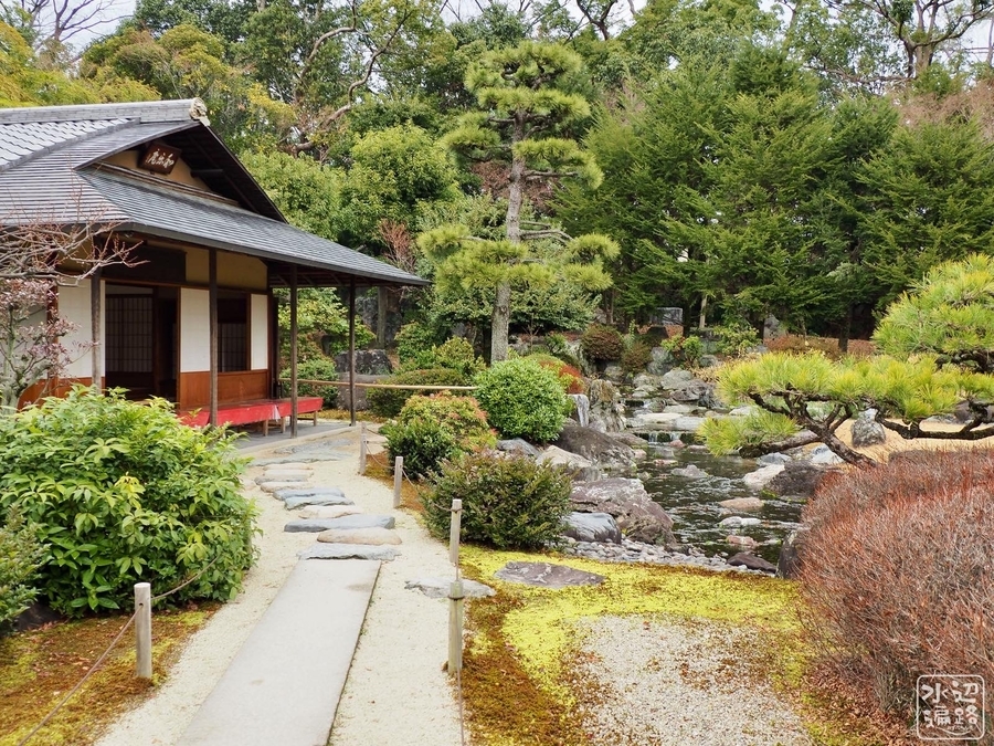 f:id:cippillo:20200219191609j:plain