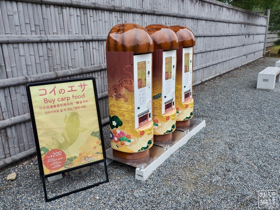 f:id:cippillo:20200219193147j:plain