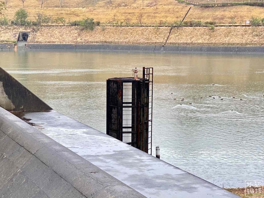 杏ヶ池（千葉県東金） - 水辺遍路