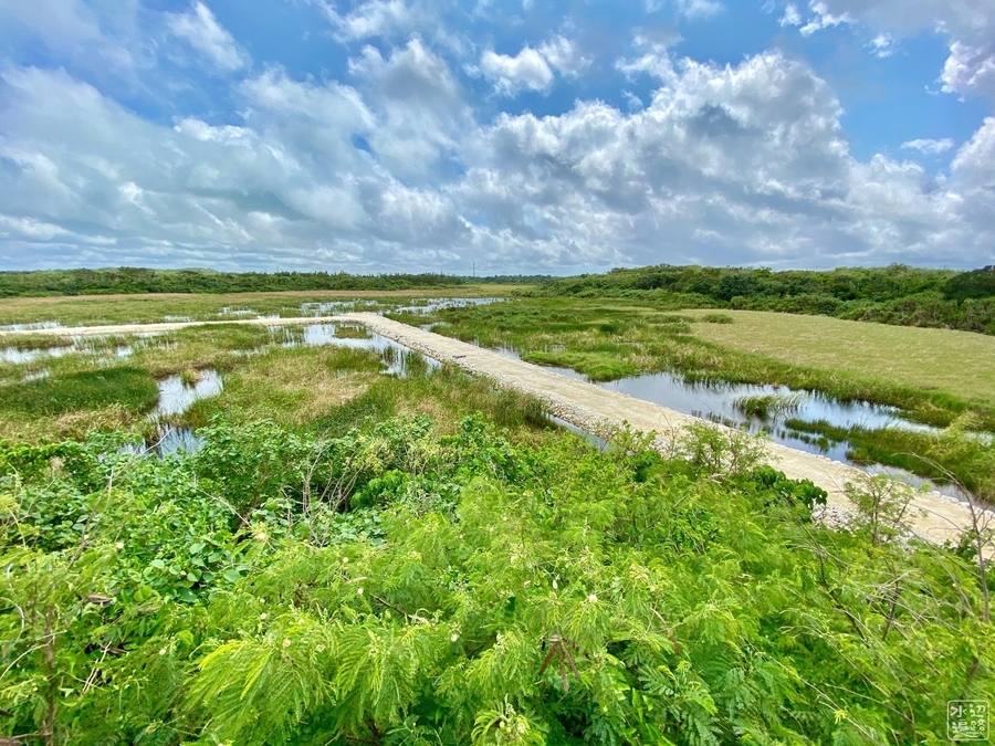 池間湿原 沖縄県宮古島 水辺遍路