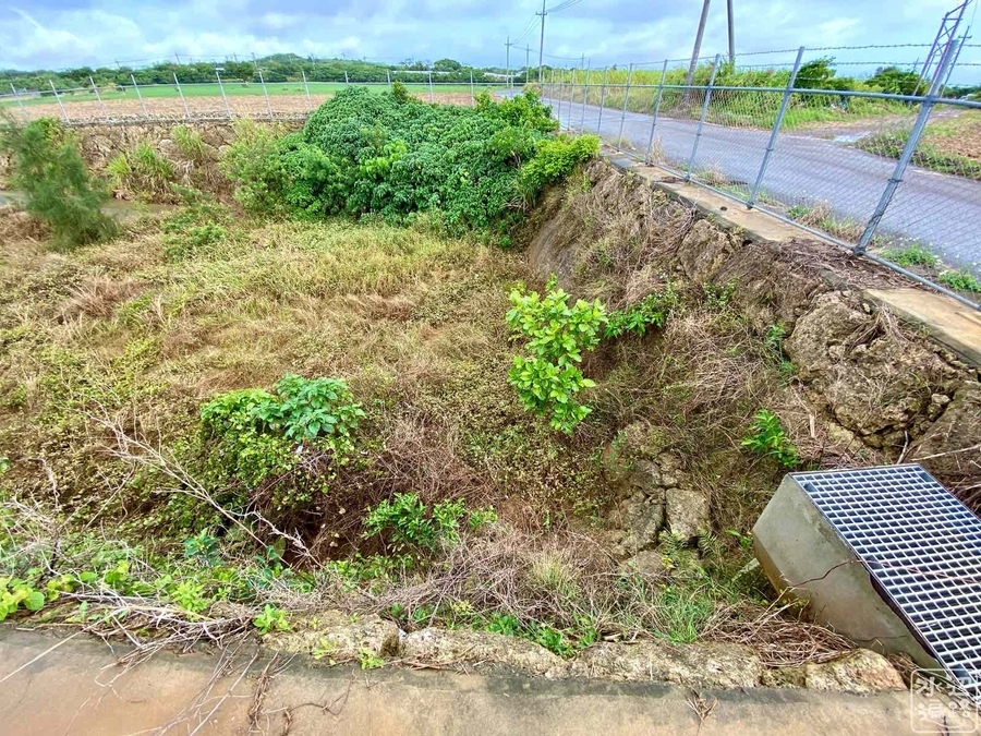 字白保の沈砂池（仮称）（沖縄県石垣島） - 水辺遍路