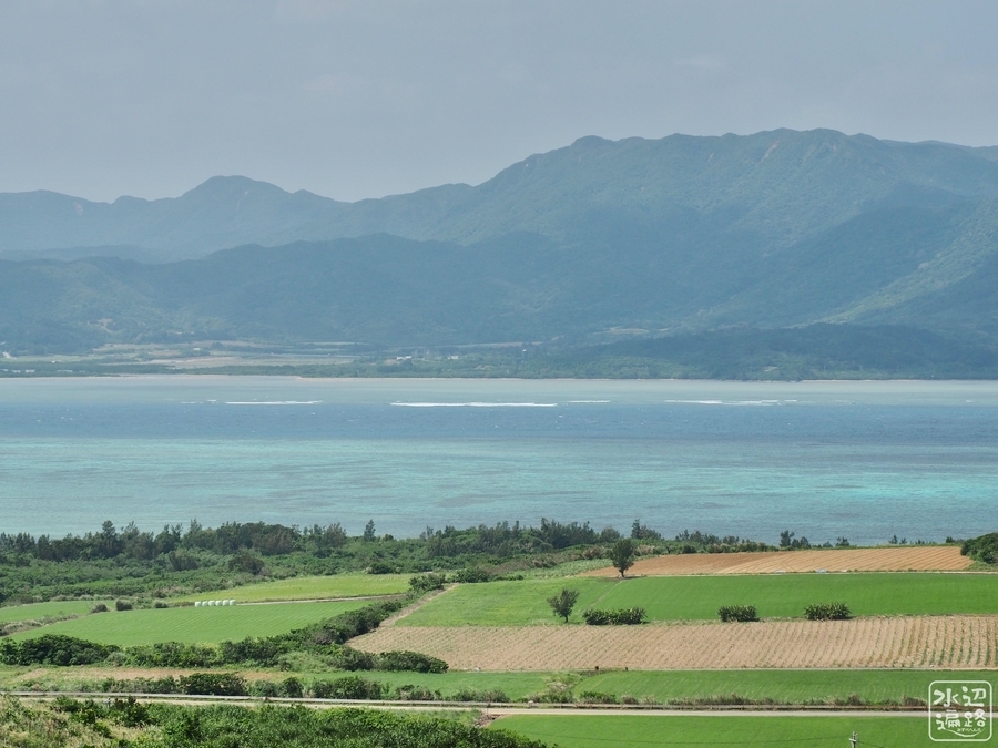 f:id:cippillo:20200326160152j:plain