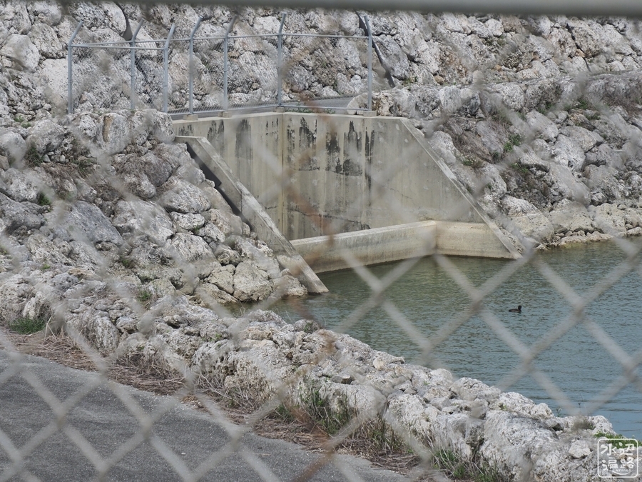 f:id:cippillo:20200401115657j:plain f:id:cippillo:20200401115657j:plain