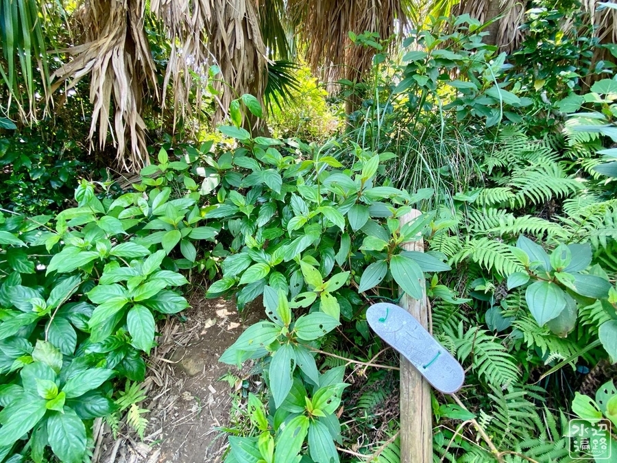 f:id:cippillo:20200407100238j:plain