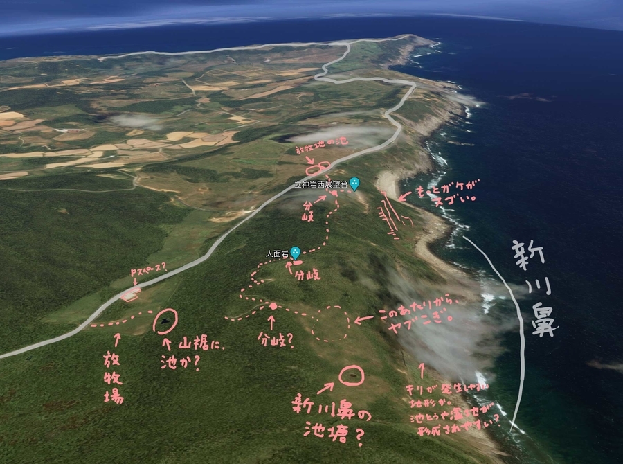 f:id:cippillo:20200407111040j:plain