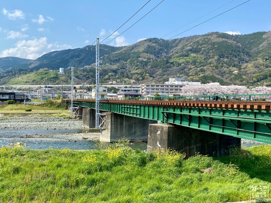 f:id:cippillo:20200413171923j:plain