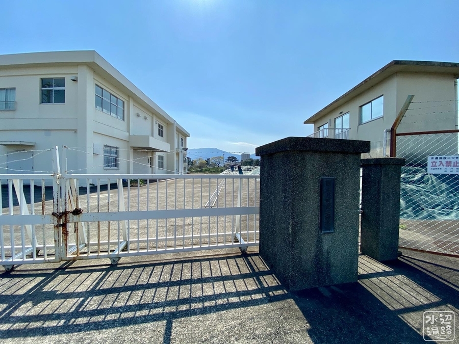 f:id:cippillo:20200413172001j:plain