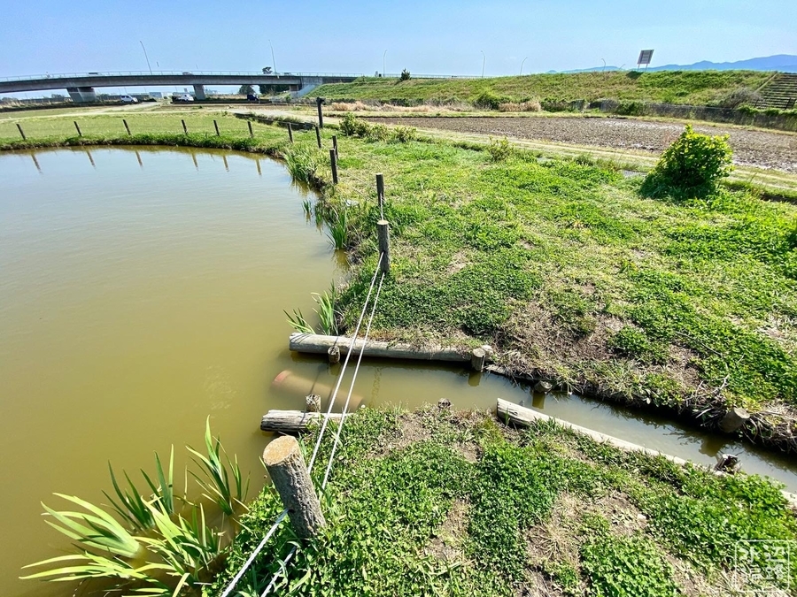 f:id:cippillo:20200413172059j:plain