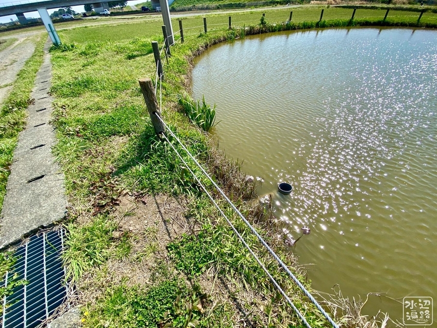 f:id:cippillo:20200413172129j:plain