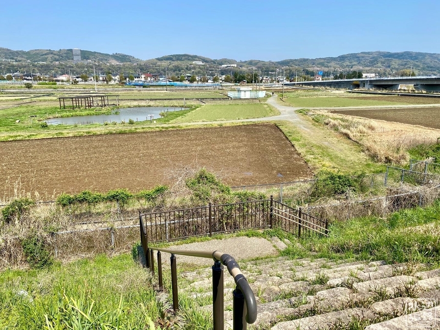 f:id:cippillo:20200413172232j:plain