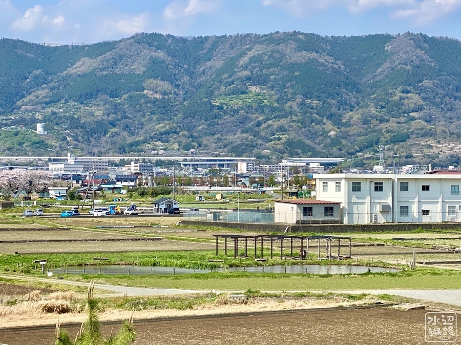 f:id:cippillo:20200413172301j:plain