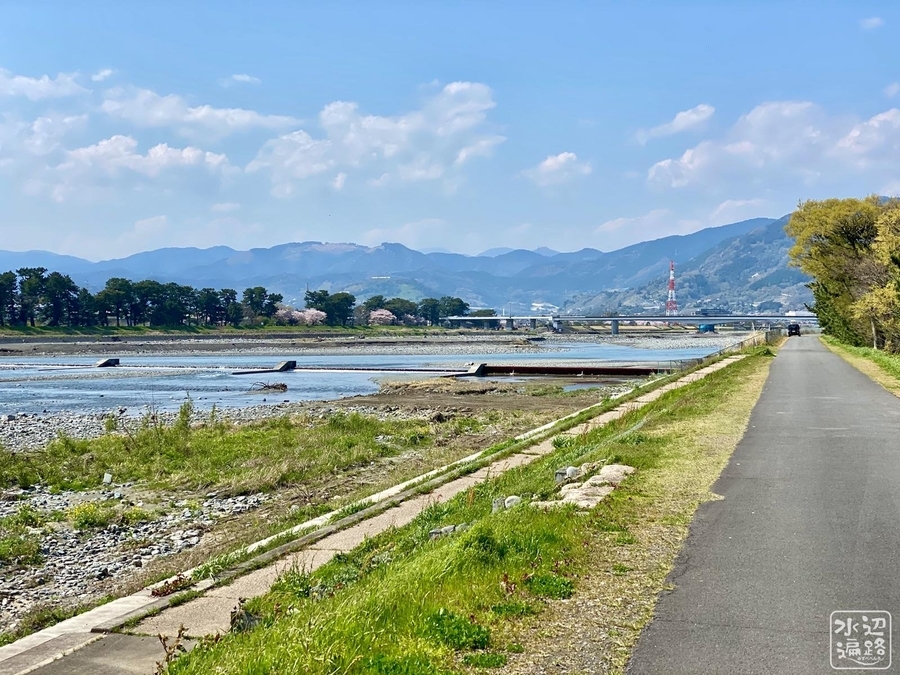 f:id:cippillo:20200413172313j:plain