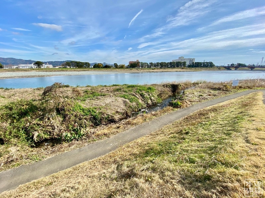 f:id:cippillo:20200413231440j:plain