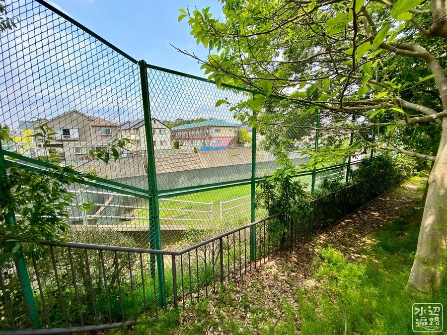 f:id:cippillo:20200516230129j:plain