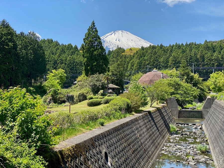 f:id:cippillo:20200517232121j:plain