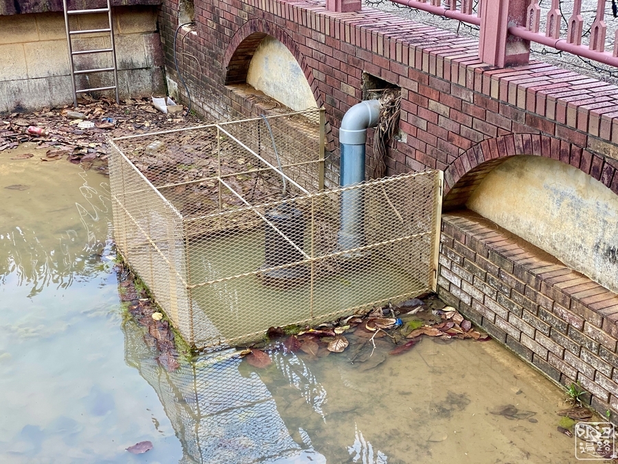 f:id:cippillo:20200521153530j:plain