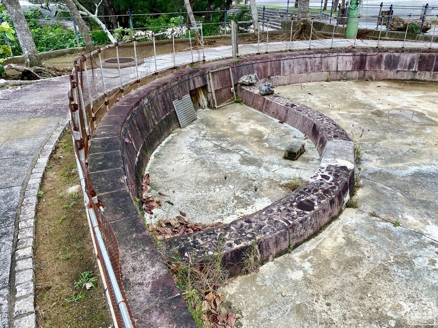 f:id:cippillo:20200521153555j:plain