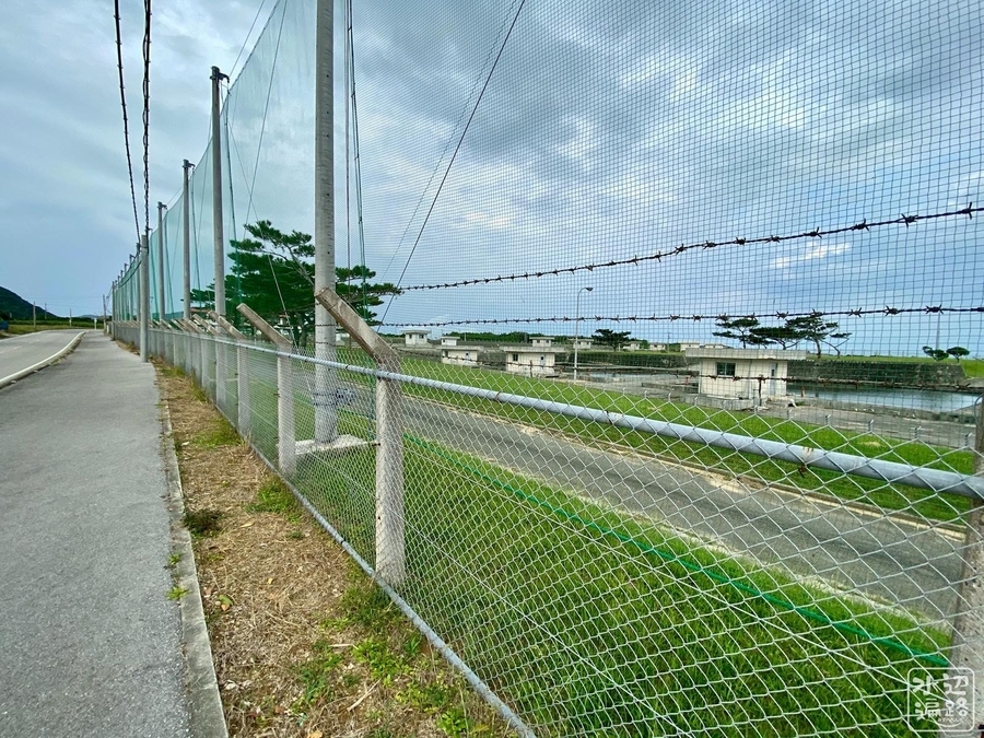 f:id:cippillo:20200521174857j:plain