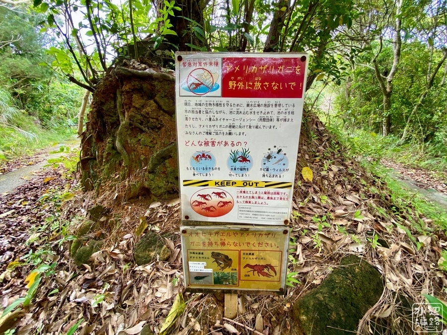 f:id:cippillo:20200521204223j:plain f:id:cippillo:20200521204223j:plain