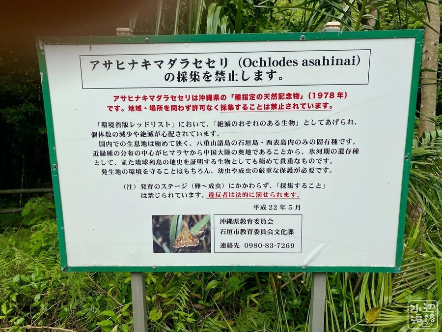 f:id:cippillo:20200521204317j:plain f:id:cippillo:20200521204317j:plain