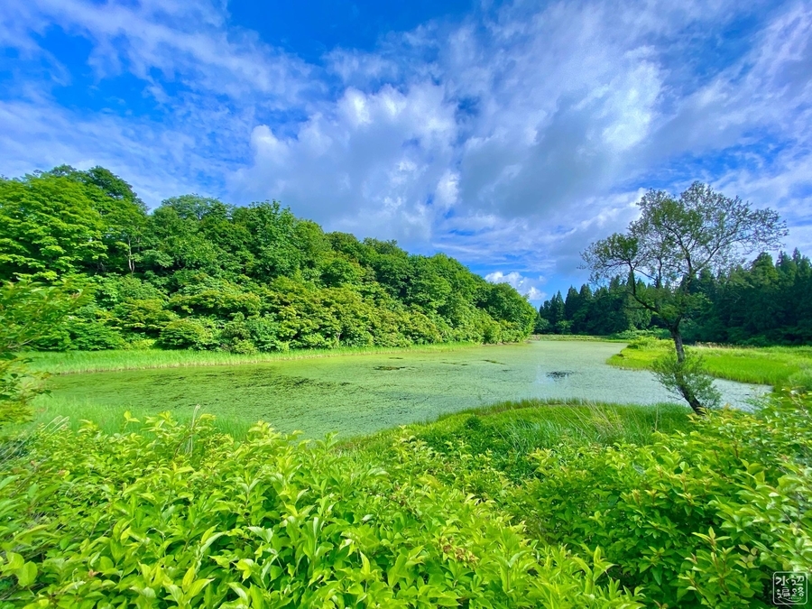 f:id:cippillo:20200607184530j:plain f:id:cippillo:20200607184530j:plain