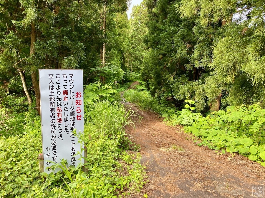 f:id:cippillo:20200607184605j:plain f:id:cippillo:20200607184605j:plain