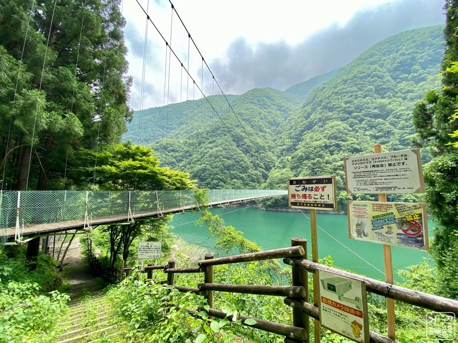 f:id:cippillo:20200609163654j:plain