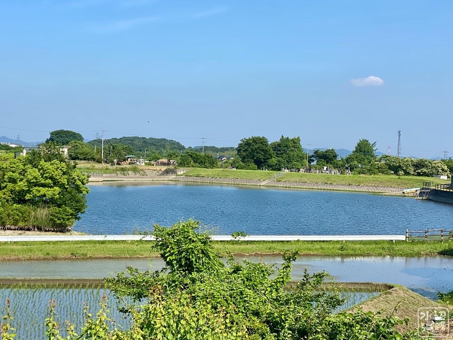 f:id:cippillo:20200609225147j:plain